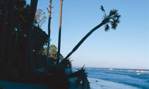 Costal Carolina coast line