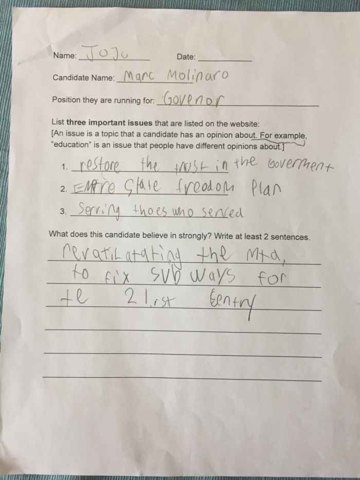 A filled-out worksheet describing a political candidate.